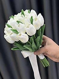 Islak Dokulu Lale Gelin Çiçeği