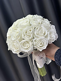 Sade Gül Gelin Çiçeği