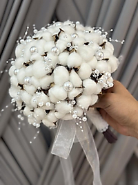 İNCİLİ PAMUK GELİN ÇİÇEĞİ