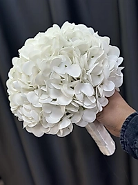 Islak Ortanca Gelin Çiçeği