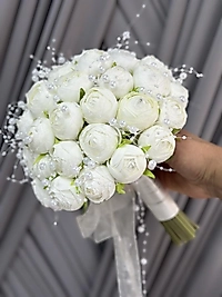 İNCİLİ ŞAKAYIK GELİN ÇİÇEĞİ