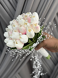 İNCİLİ PEMBE LALE GELİN ÇİÇEĞİ