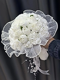 İnci Tüllü Şakayık Gelin Çiçeği