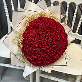 101 GÜLLÜ KIRMIZI İSTEME ÇİÇEĞİ