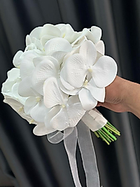 Islak Orkide Gelin Çiçeği