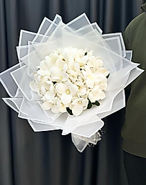 MANOLYA İSTEME ÇİÇEĞİ