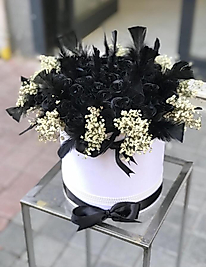 KUTUDA SİYAH GÜL İSTEME ÇİÇEĞİ