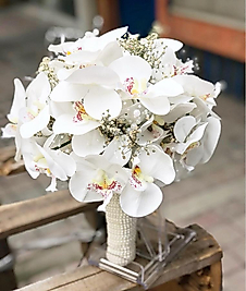 İNCİLİ ISLAK ORKİDE GELİN ÇİÇEĞİ