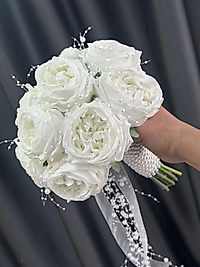 İncili Islak Şakayık Gelin Çiçeği