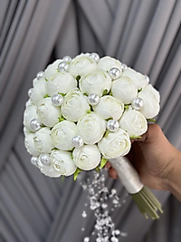 BÜYÜK İNCİLİ ŞAKAYIK GELİN ÇİÇEĞİ