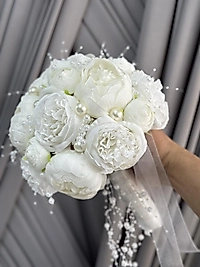 İNCİLİ ŞAKAYIK GELİN ÇİÇEĞİ